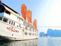 PALOMA CRUISE