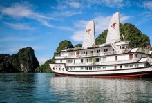 SIGNATURE CRUISE HALONG BAY 2 DAYS 1 NIGHT & 3 DAYS 2 NIGHTS from 183 USD/person only