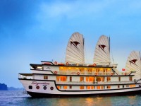 SIGNATURE CRUISE