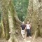 HANOI - CUC PHUONG - VANTRINH CAVE - VAN LONG TOUR 2 DAYS 1 NIGHT from 69 USD/person only