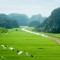 CUCPHUONG NATIONAL PARK - TRANGAN - CYCLING IN TAMCOC 2 DAYS 