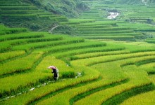 THE NORTHERN VIETNAM DISCOVERY: MISTY PEAKS & EMERALD WATERS (5 DAYS / 4 NIGHTS: HANOI - SAPA - HALONG BAY) from 203 USD/person only