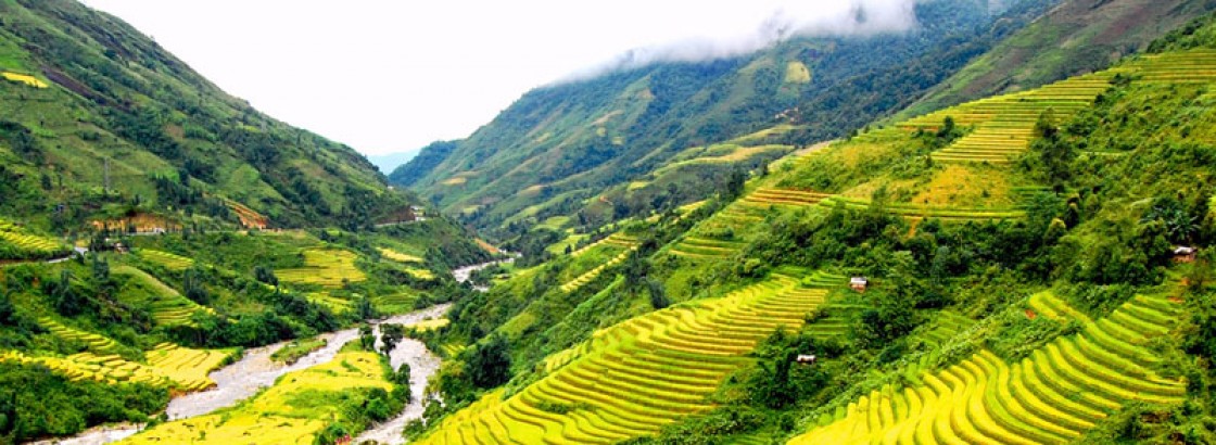 Auco cruise Halong bay 3 days 2 nights
