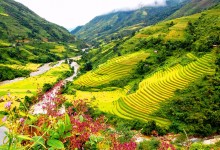 HANOI - SAPA - FANSIPAN - HALONG BAY - NINH BINH - BAIDINH - TRANGAN 7 DAYS / 6 NIGHTS from 365 USD/person only