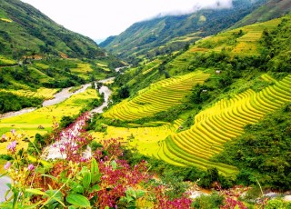 HANOI - SAPA - FANSIPAN - HALONG BAY - NINH BINH - BAIDINH - TRANGAN 7 DAYS / 6 NIGHTS from 365 USD/person only