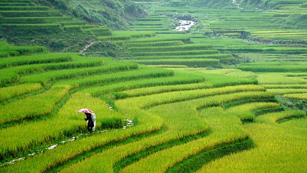 THE NORTHERN VIETNAM DISCOVERY: MISTY PEAKS & EMERALD WATERS (5 DAYS / 4 NIGHTS: HANOI - SAPA - HALONG BAY) from 203 USD/person only